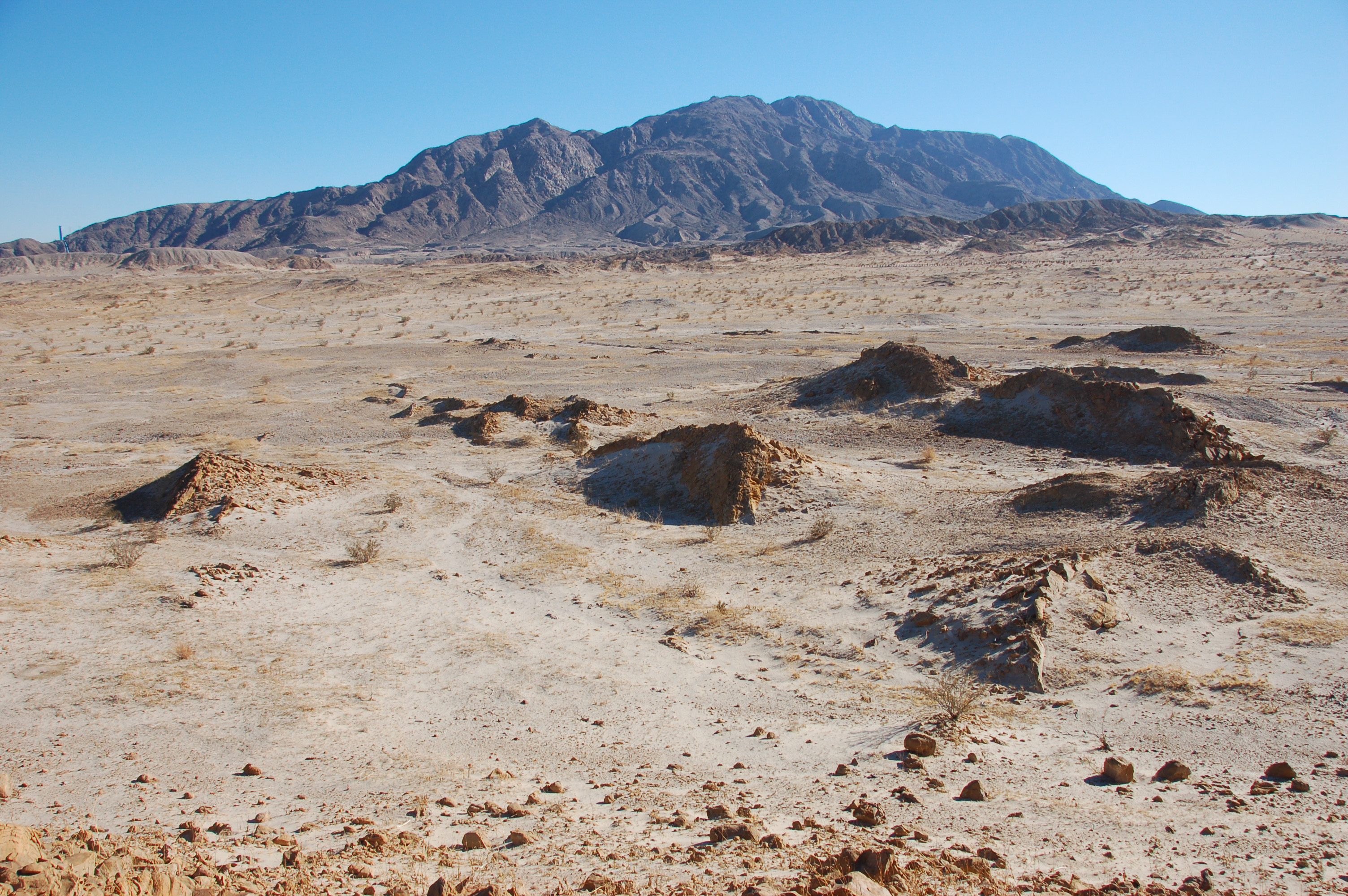 Mount Signal (Cerro Centinela) over the Imperial Valley scrubland, 2010