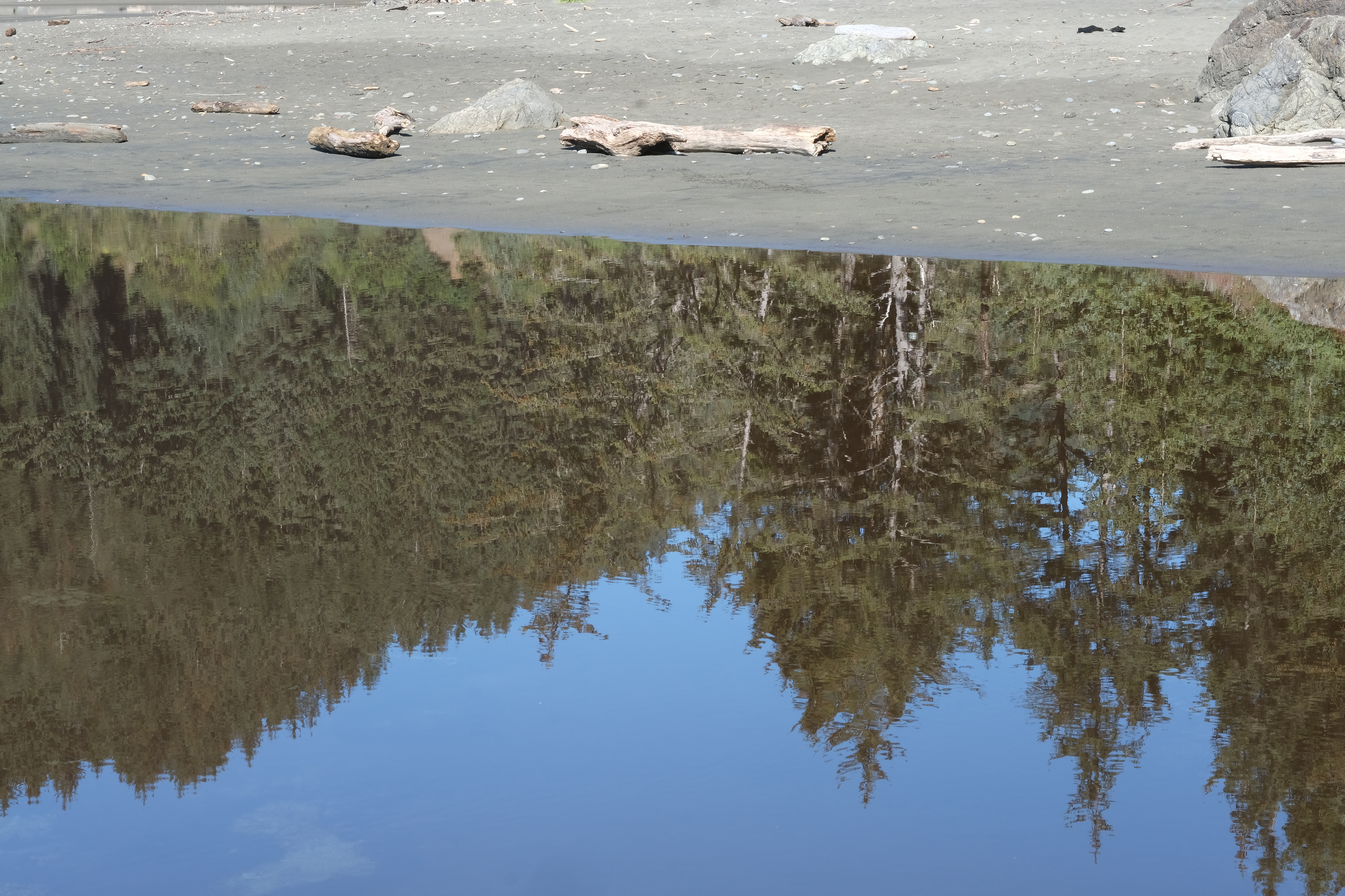 Tidal reflection, Whaleshead Beach