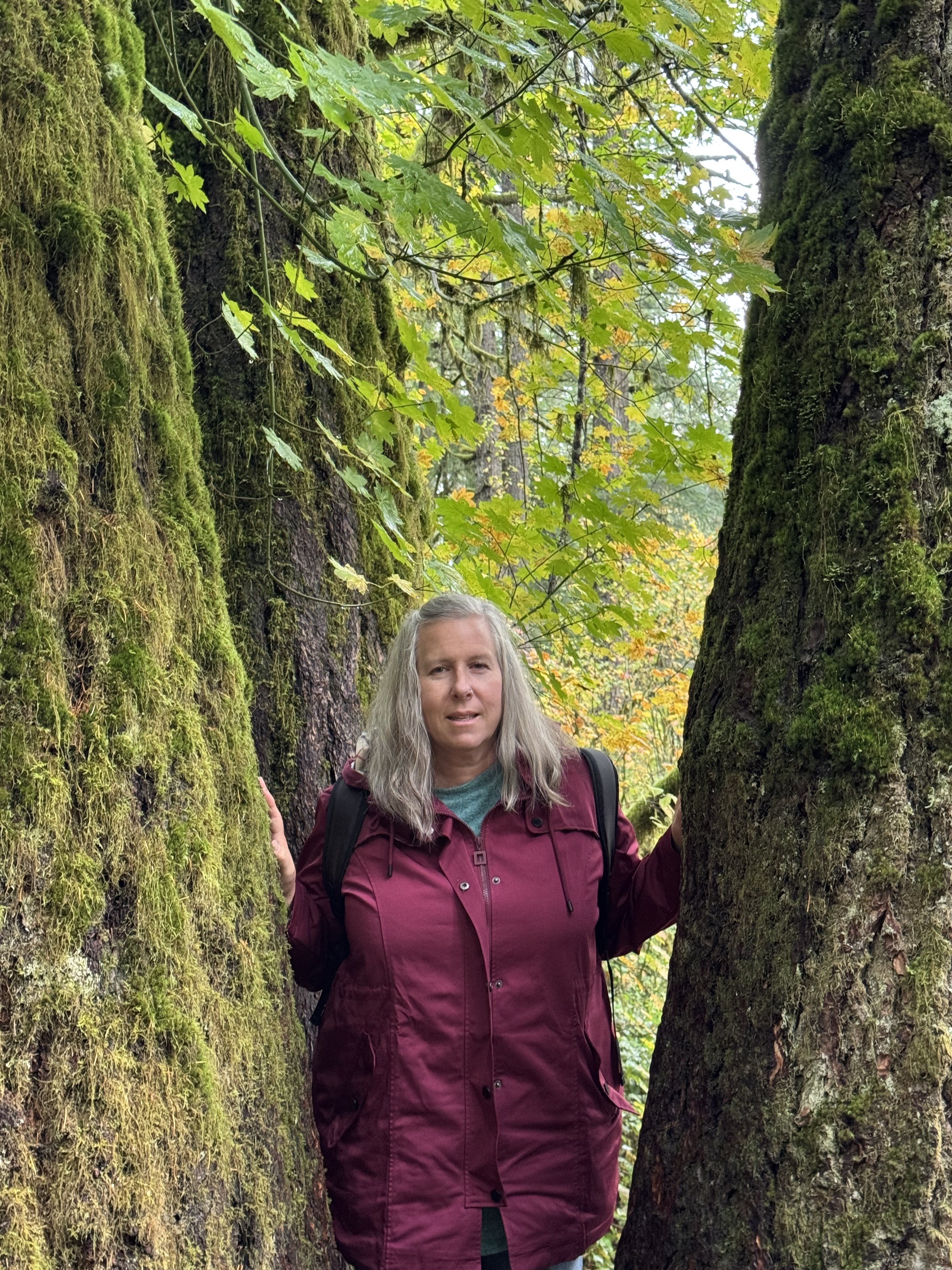 Becke under a mossy log