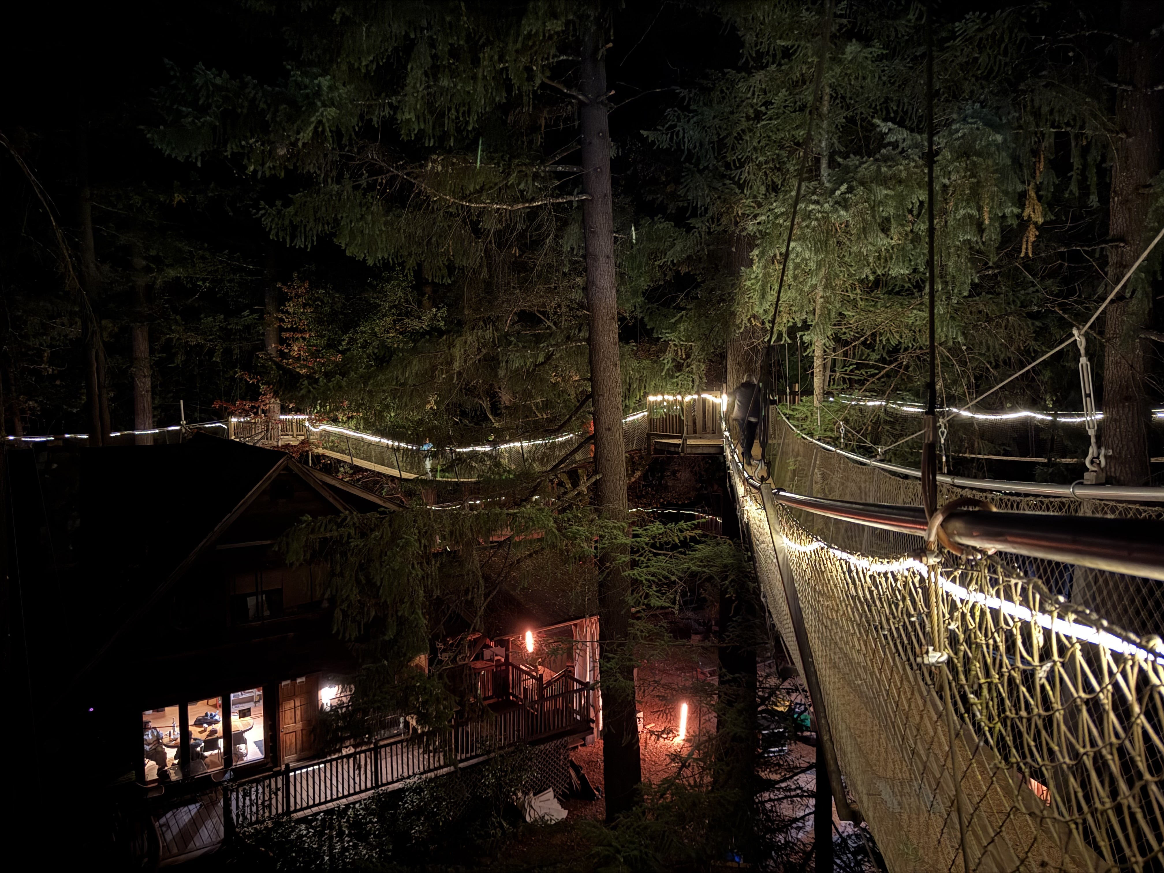 Treesort suspension bridge at night