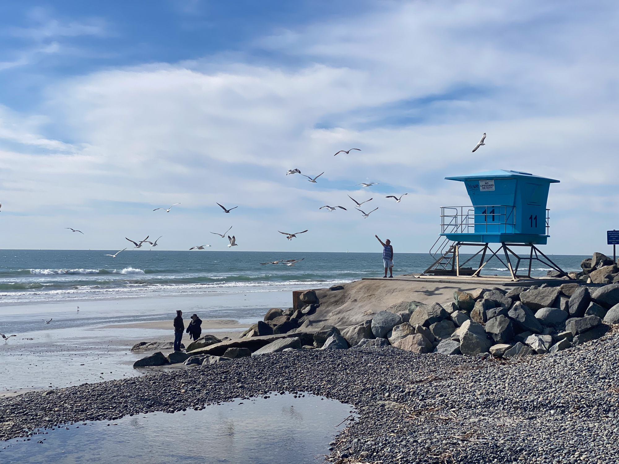 Feeding the gulls.