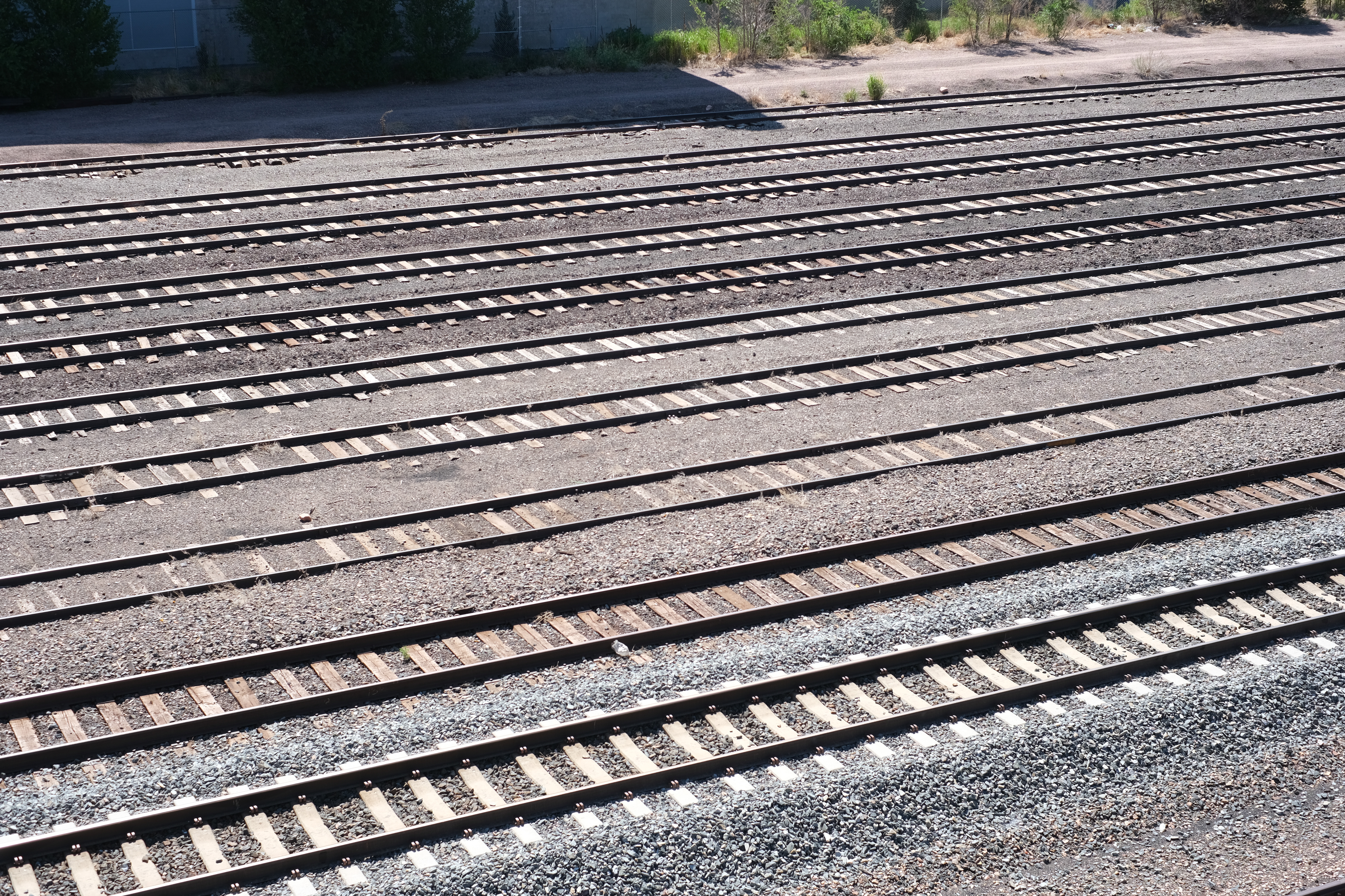 A wide fan of parallel railroad tracks and wooden ties in a rail yard, gravel ballast, greenery at the edges.