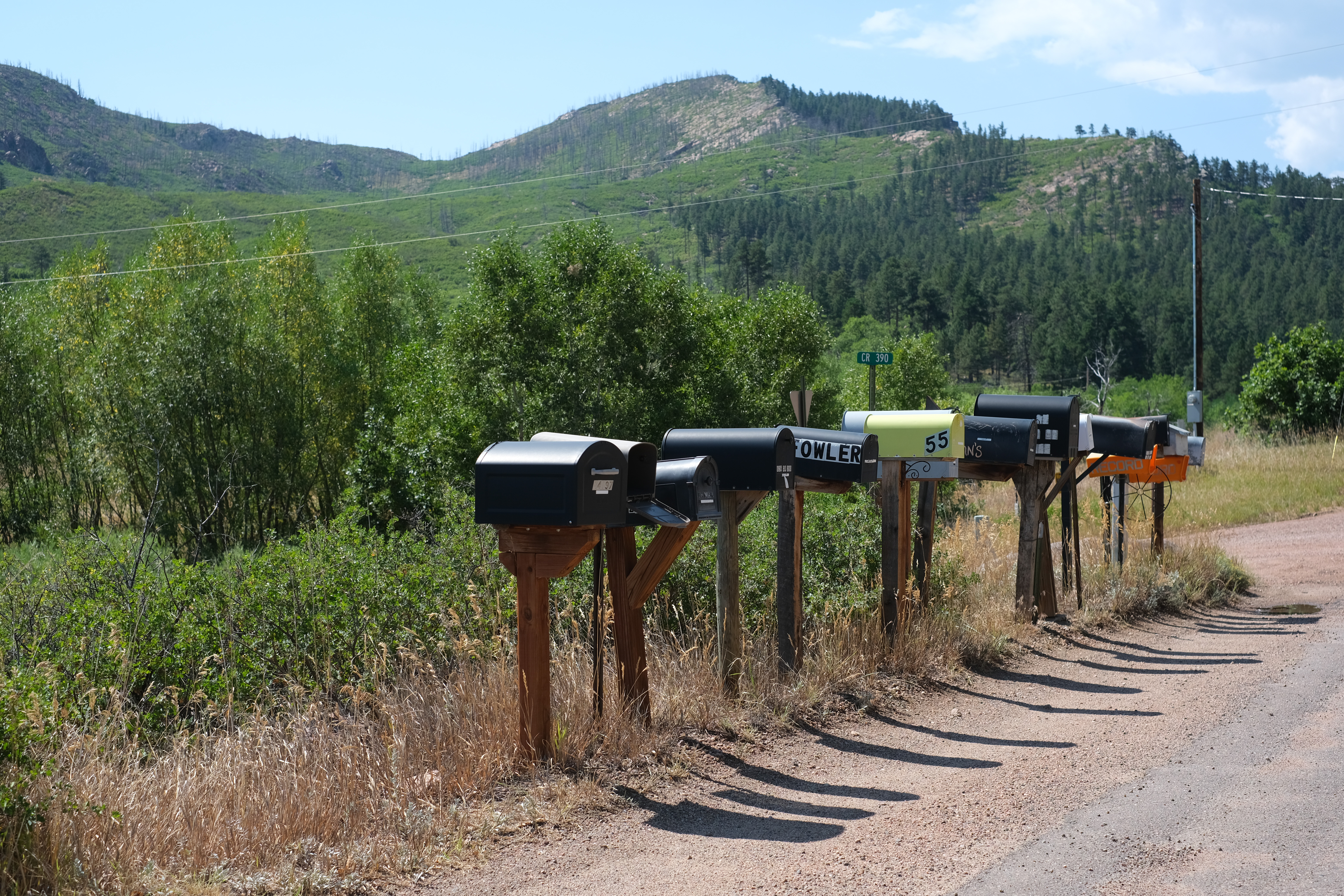 A row of rural mailboxes along a gravel road, aspens and pine forest in the foreground, a mountain with an old burn scar behind.