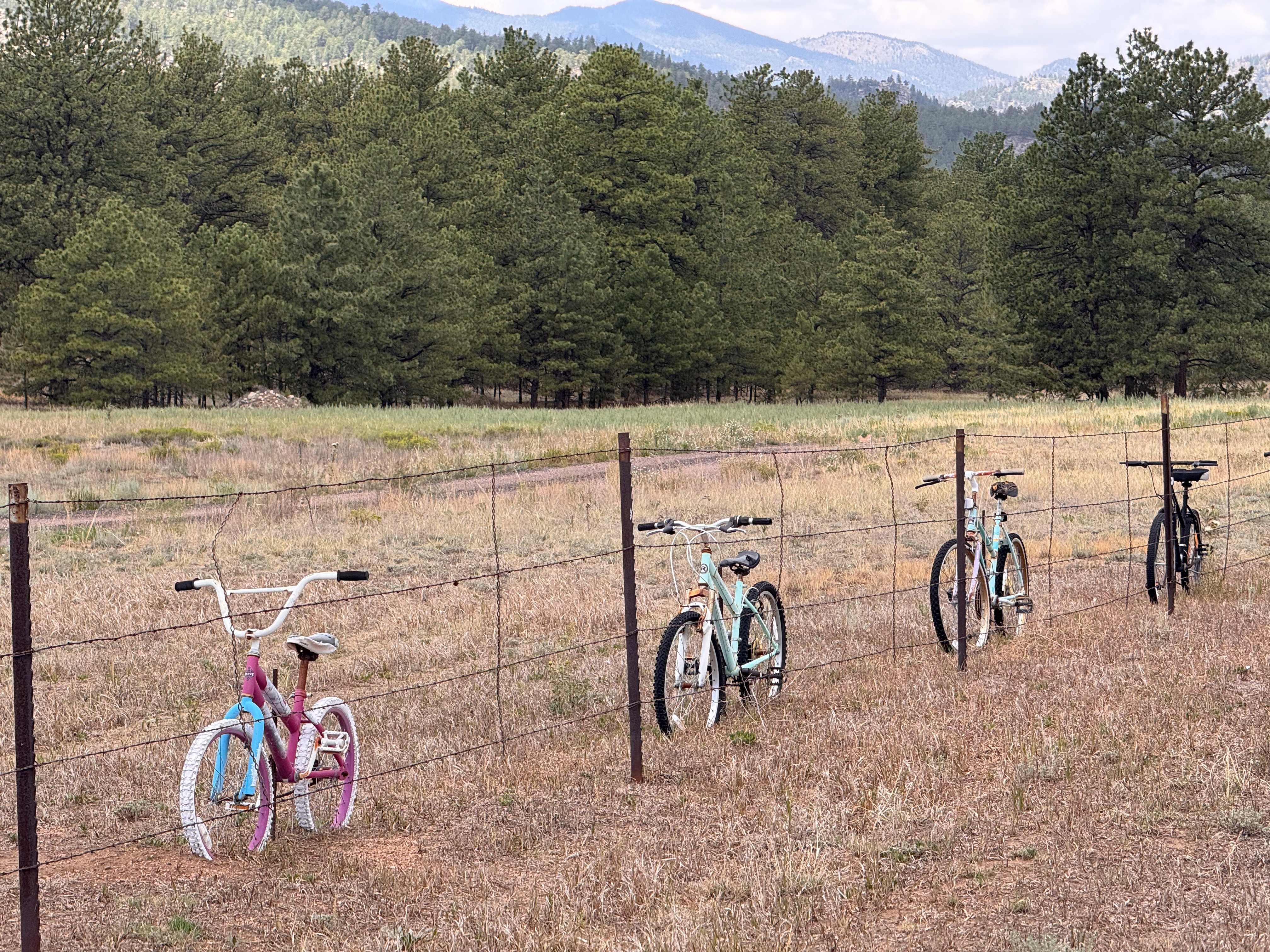 Three kids' bikes hung on a barbed-wire fence along a mountain meadow.