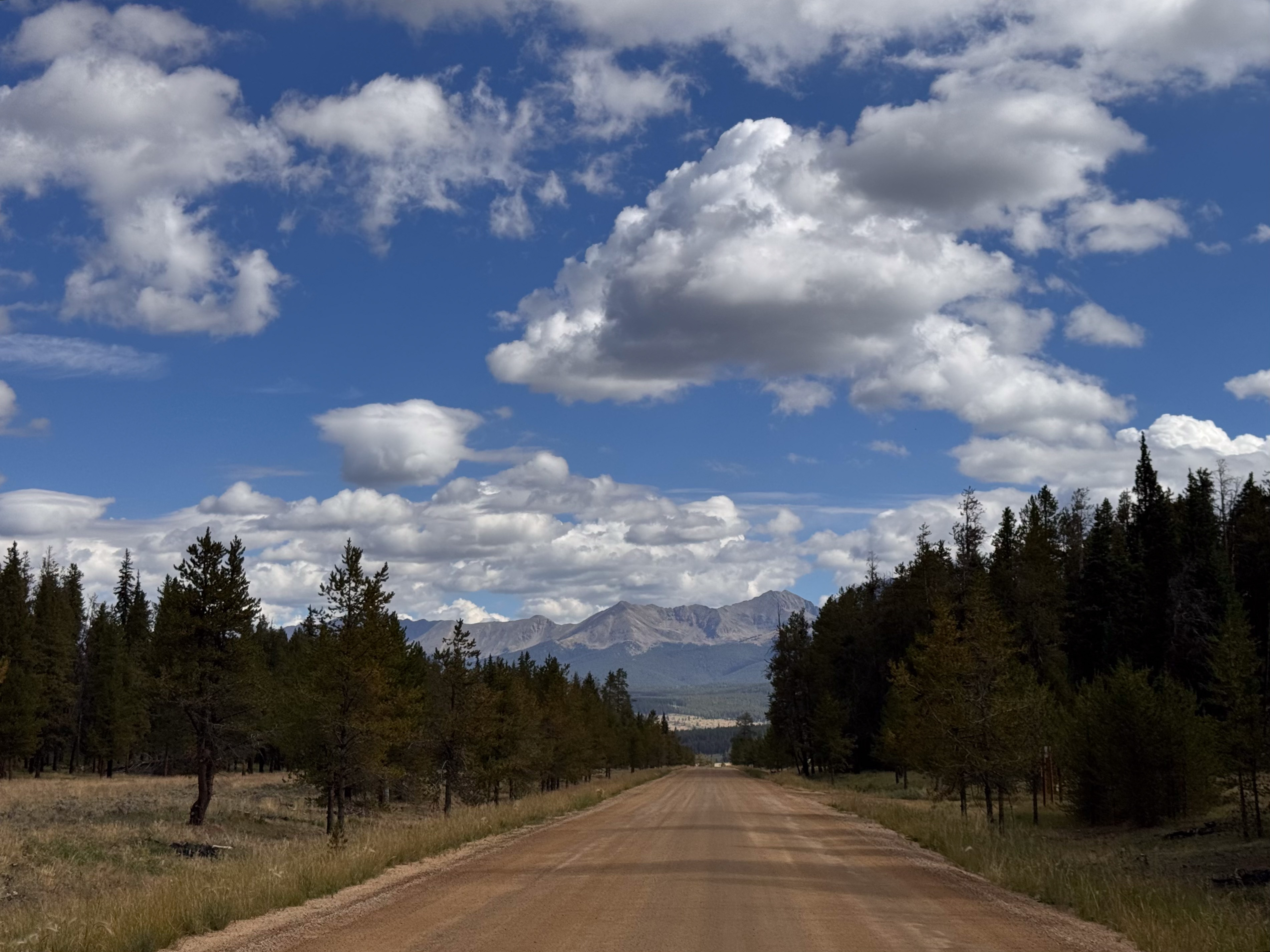A straight dirt road through pine forest toward a distant mountain, scattered clouds overhead.