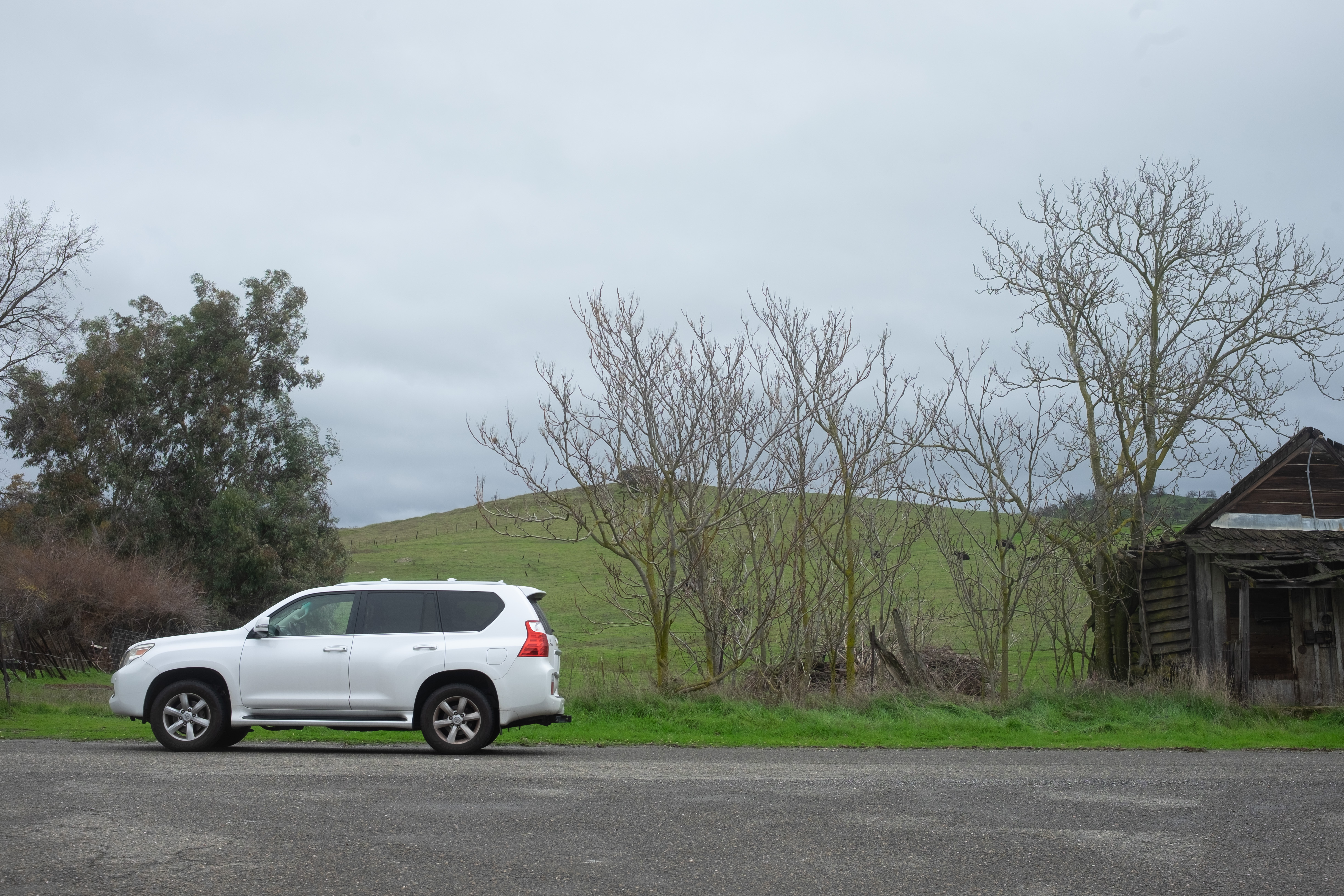 2010 Lexus GX460.