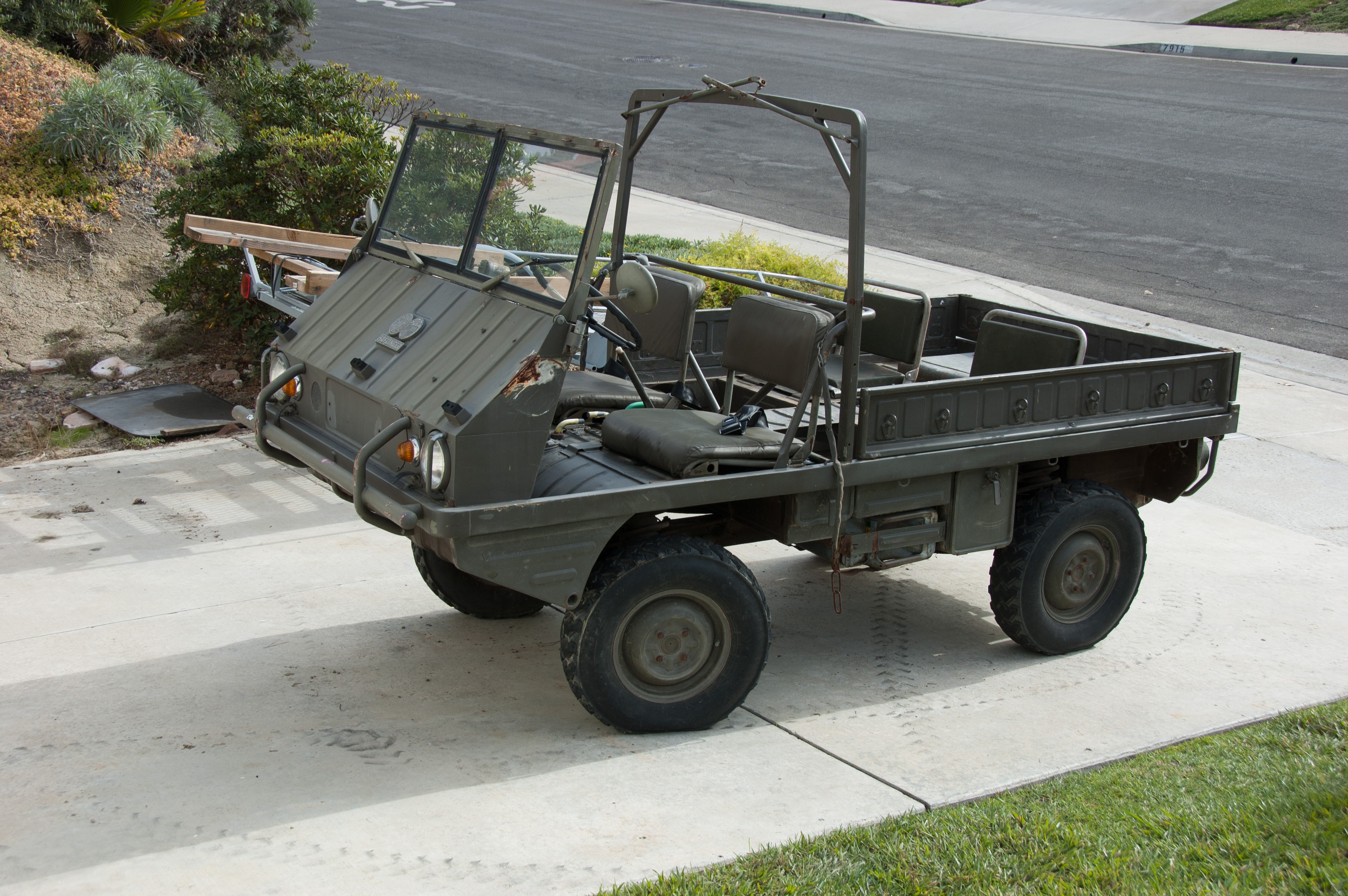 The Haflinger. January 2010.