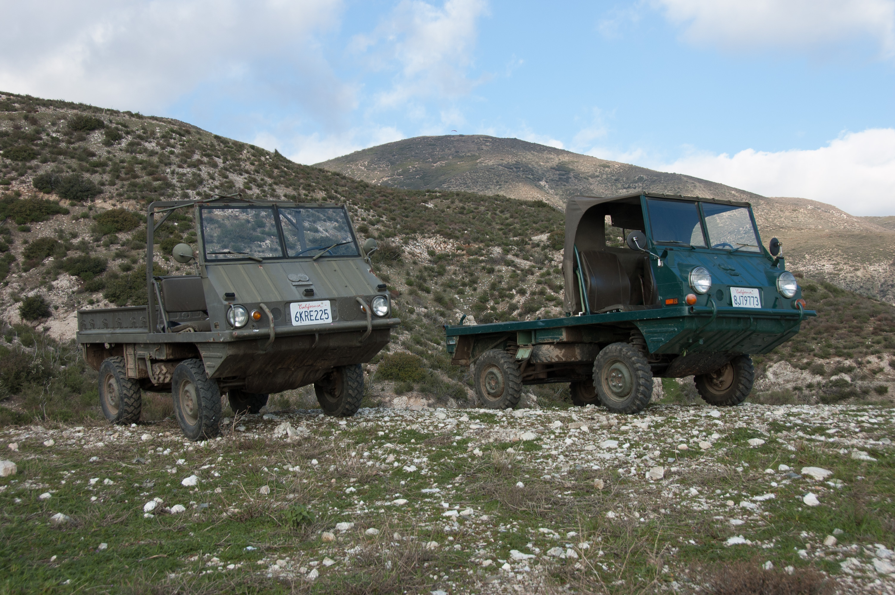 The Haflinger. February 2010.