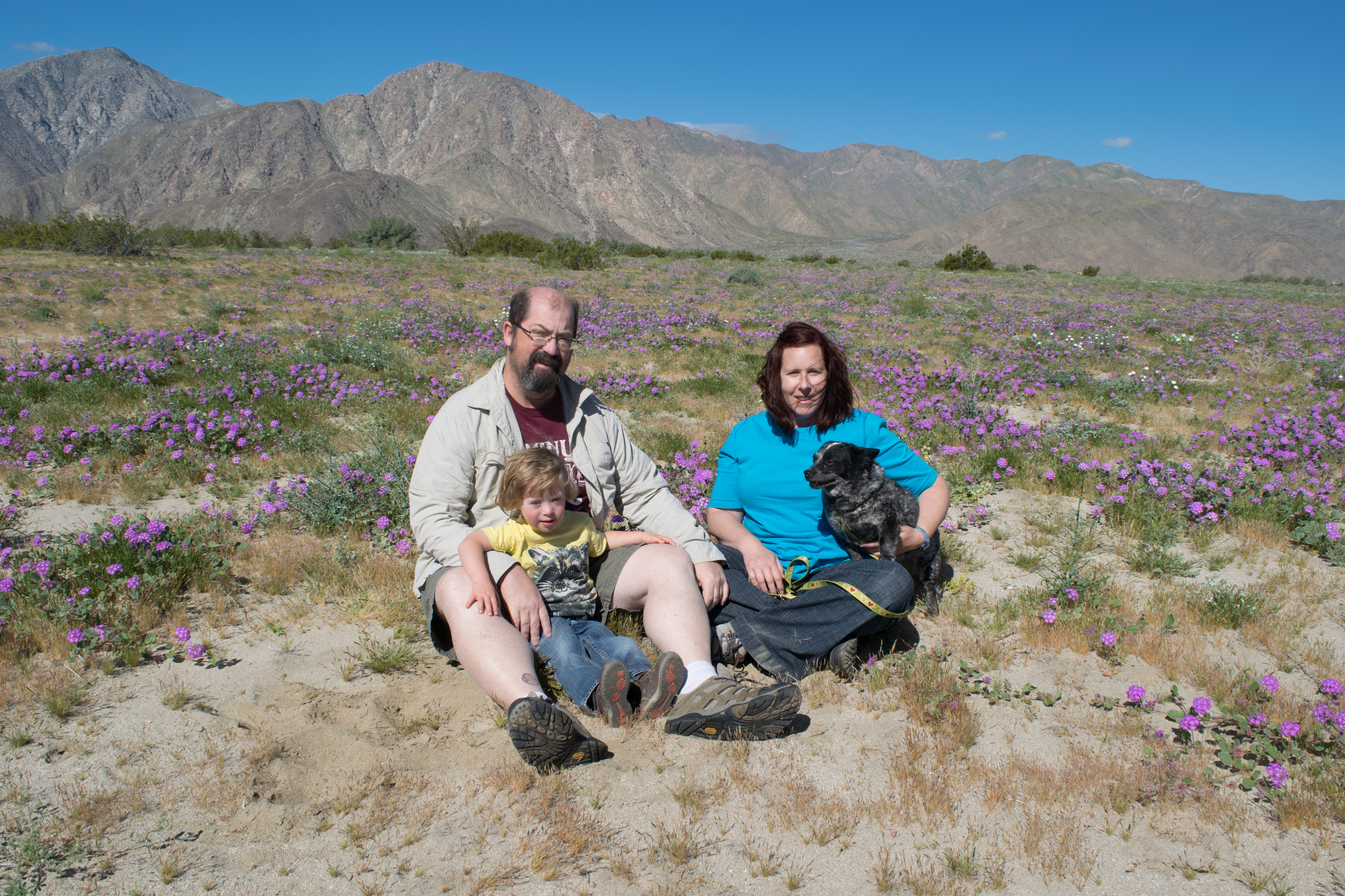 Fred, Becke, Dylan (~3), and Dora in Borrego wildflowers, 2017
