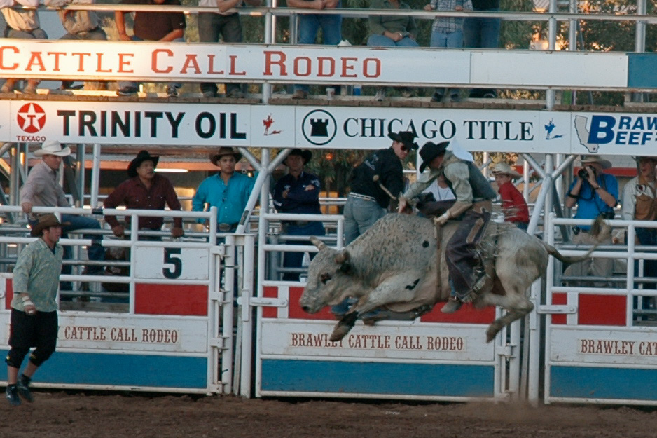 Bull rider at the Brawley Cattle Call Rodeo, Imperial Valley, 2005