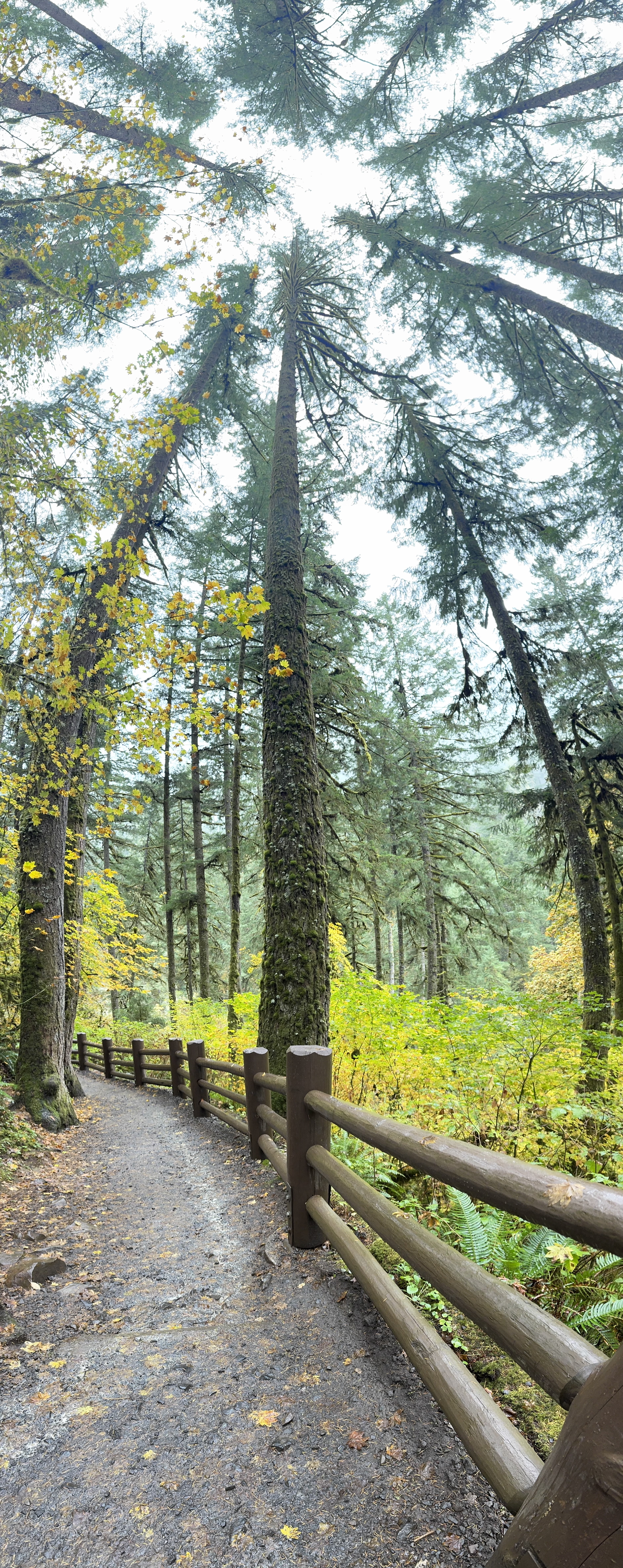 Silver Falls bridge
