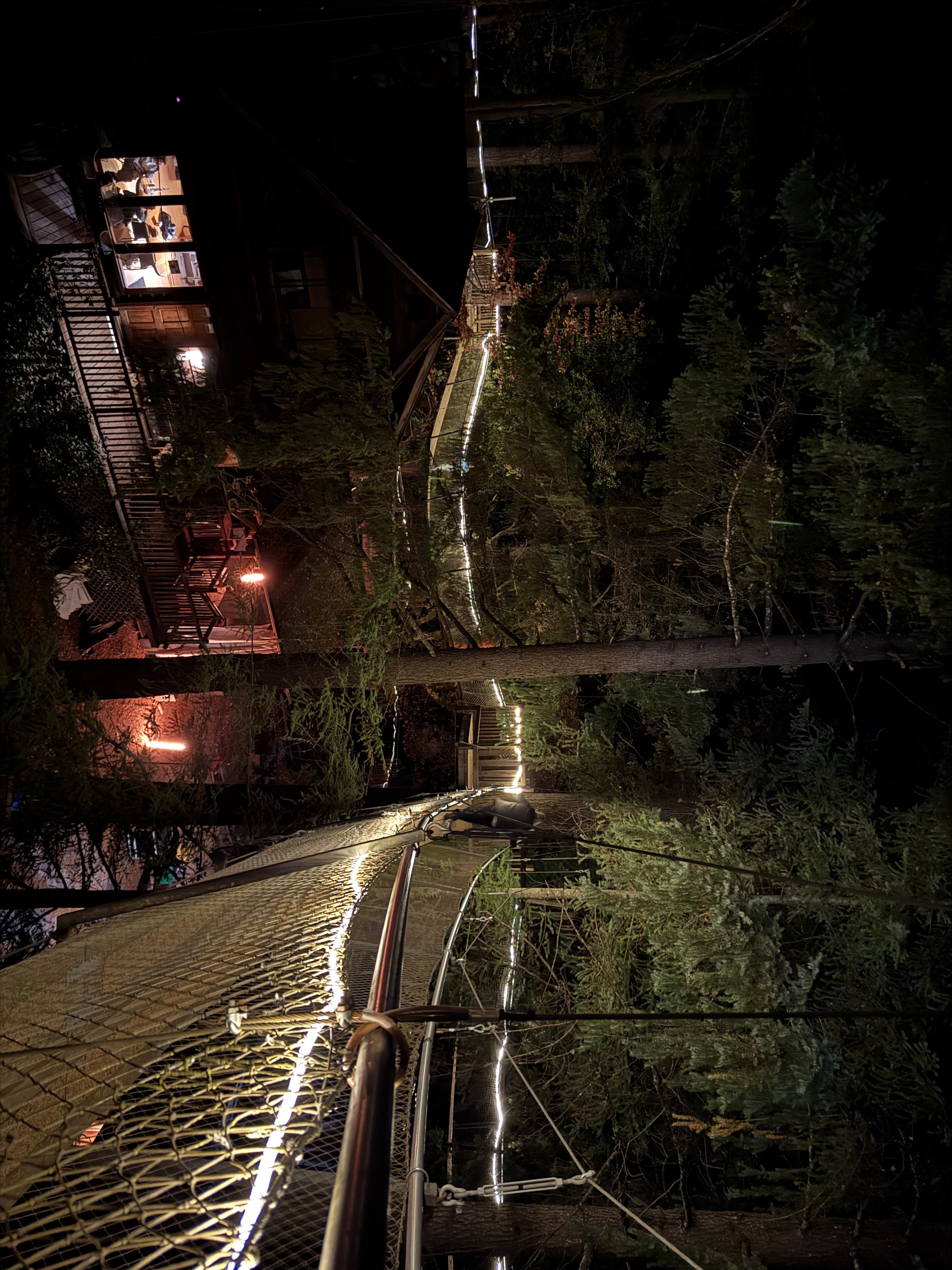 Treesort suspension bridge at night