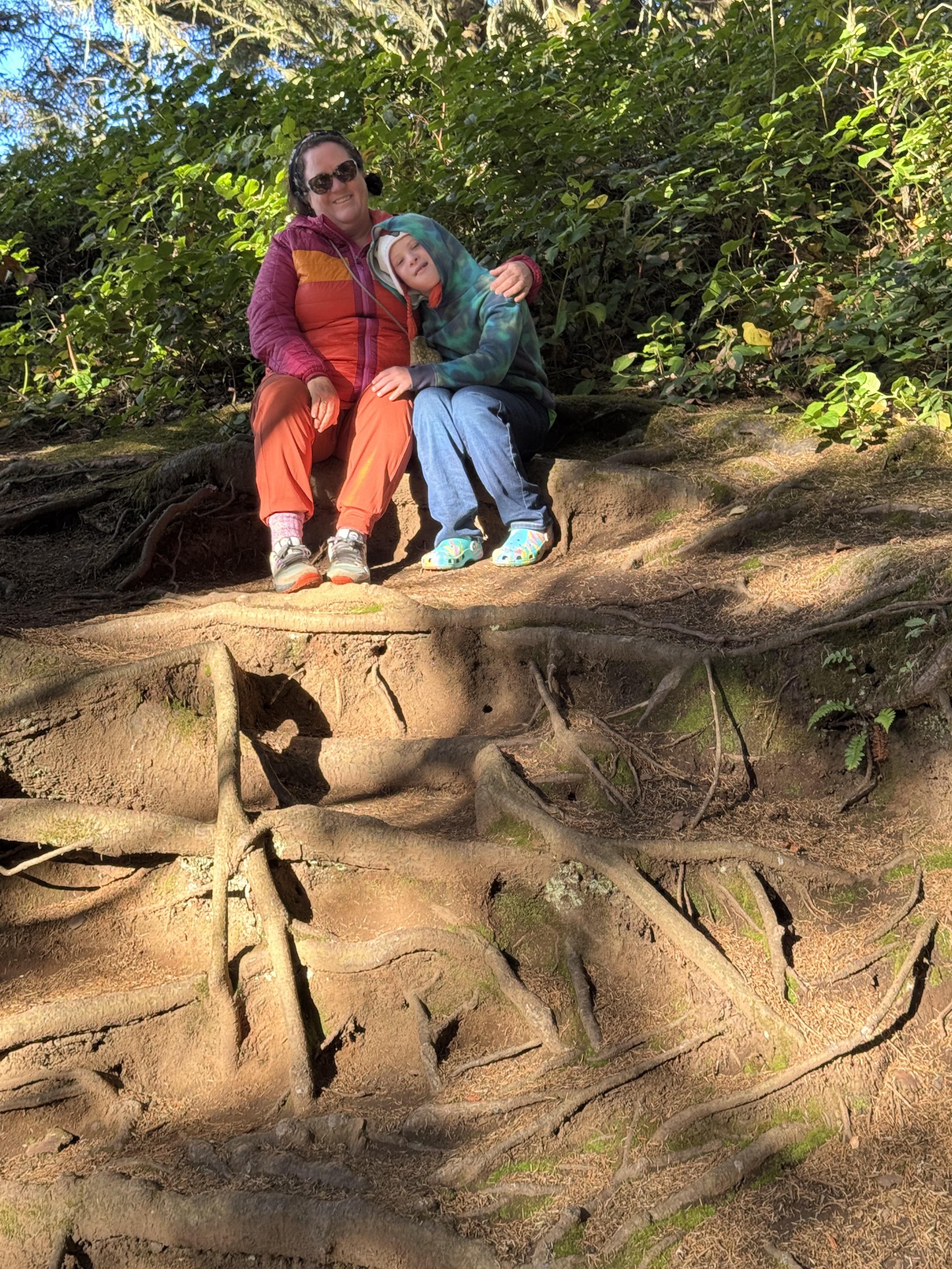 Giant tree roots near Heceta Head
